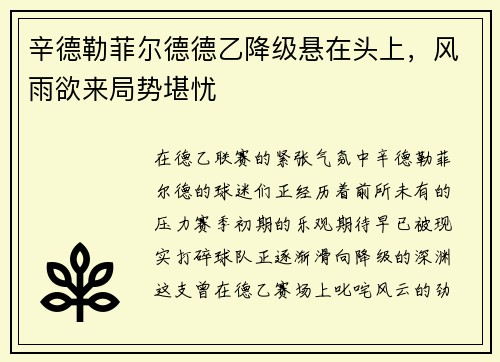 辛德勒菲尔德德乙降级悬在头上，风雨欲来局势堪忧