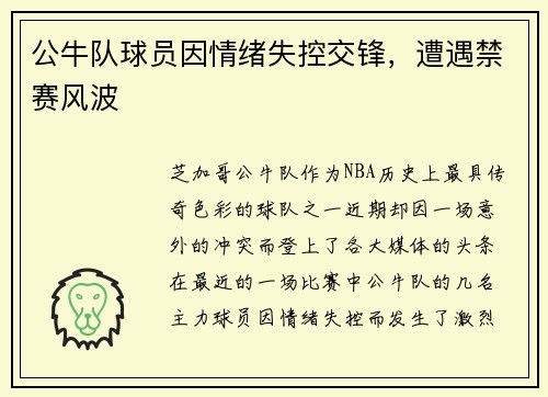 公牛队球员因情绪失控交锋，遭遇禁赛风波