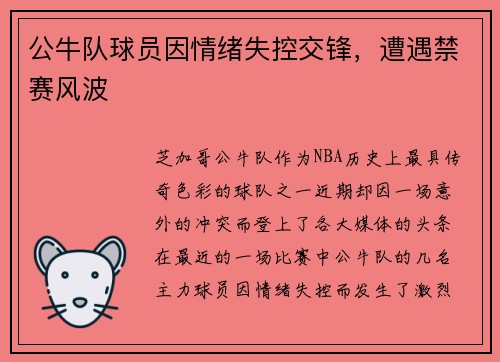公牛队球员因情绪失控交锋，遭遇禁赛风波